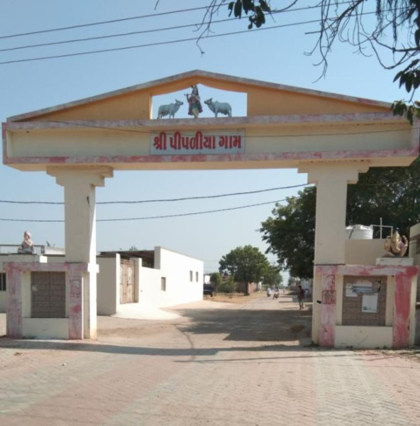 નવા નેશનલ હાઇવે સામે  ખેડૂતો આગબાબુલા

મોરબીના પીપળીયાના ગામના 12 ખેતરોની જમીન નેશનલ હાઇવે માટે કપાતમાં જશે