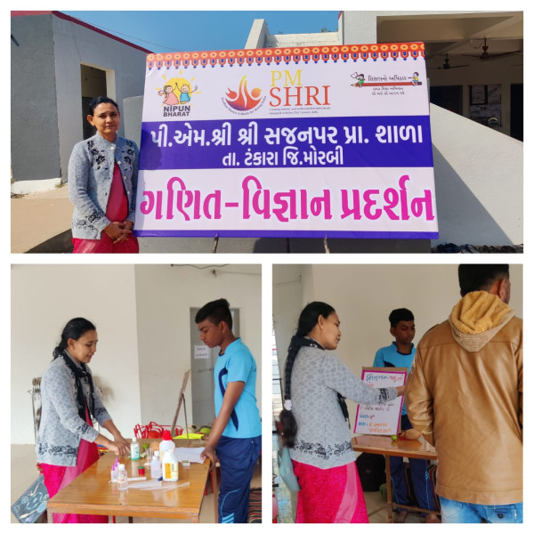 પીએમ. શ્રી 