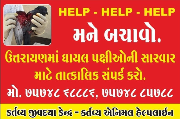 કર્તવ્ય જીવદયા કેન્દ્ર દ્વારા ઉત્તરાયણ માં પતંગ ની દોરી થી ઘાયલ થતાં પક્ષીઓ માટે પક્ષી બચાવો અભિયાન ચાલુ કરવા માં આવ્યું.