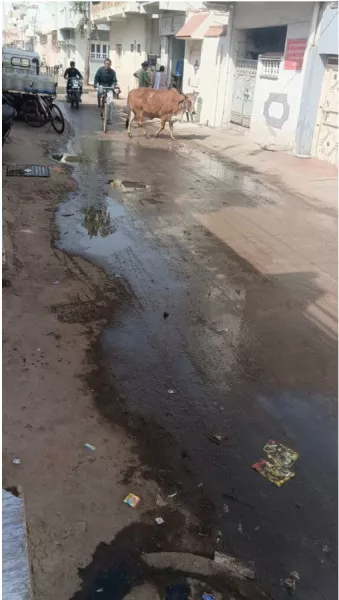 લાંબા સમયથી ગટર પ્રશ્ને તંત્રએ નીભરતા દાખવતા  ગટર ઉભરાવવાની સમસ્યાથી મોટાભાગના વિસ્તારો પ્રભાવિત
