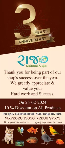 ગ્રાહકોના સાથ અને સહકારથી અમારી શોપ ને ત્રણ વર્ષ પૂર્ણ થવા પર તારીખ 25-2-2024 ના દિવસે ખરીદી પર 10% ડિસ્કાઉન્ટ