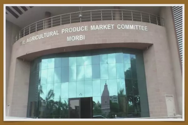 મોરબીમાં ગત વર્ષે જીરુનો 12 હજારનો ભાવ ઘટીને 5 હજારે પહોં...