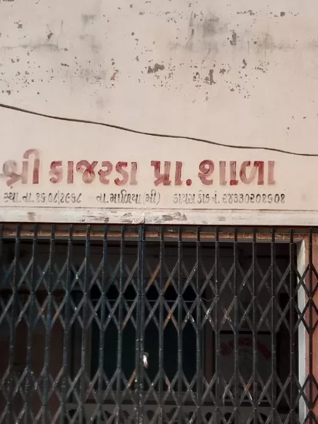 વર્ષોથી દર ઉનાળે કાજરડામાં 60 ટકા પાણી ન મળતા આખો ઉનાળો બળબળતા તાપમાં એક બેડા પાણી માટે તરસ્તી મહિલાઓ.