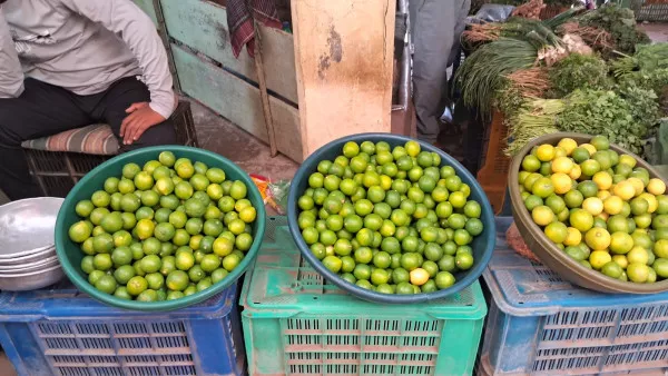 અત્યારથી જ ગરમીએ ભારે કરી,  લિબુના ભાવમાં આગ ઝરતી તેજી
...