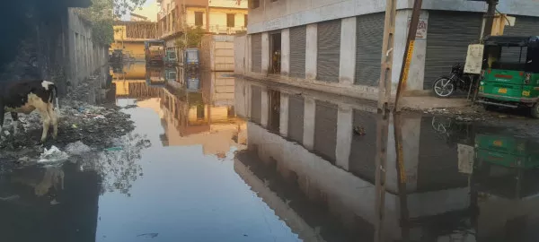 ઘણી ઘોરી વગરની પાલિકામાં એકપણ કામ ન થતા કલેકટર હરકતમાં આવ્યા
