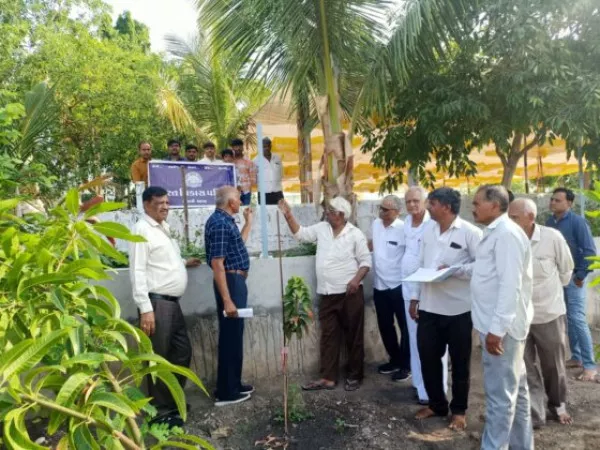 મોરબીના નાની વાવડીના રામાપીર મંદિરે વૃક્ષ દેવ પરિચય કાર્યશાળા યોજાઈ
