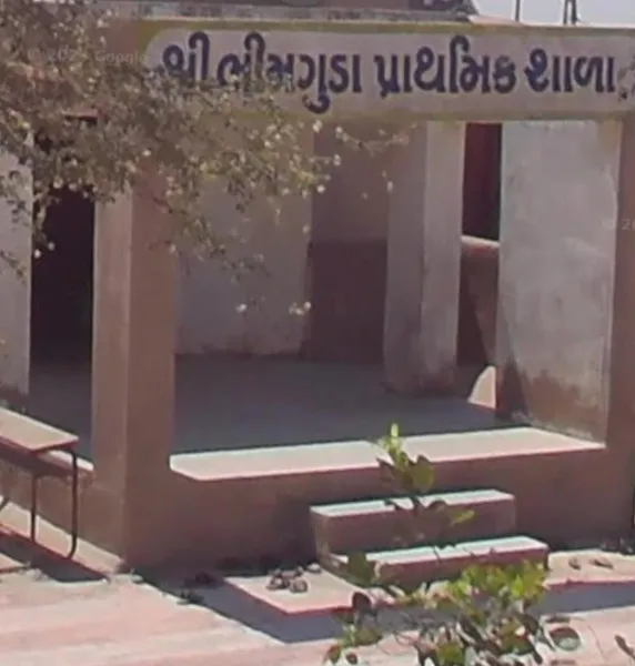 વાંકાનેરના ભીમગુંડા ગામે ત્રણ-ચાર દિવસે પાણી આવતા ગ્રામજનોને ભારે હાલાકી
