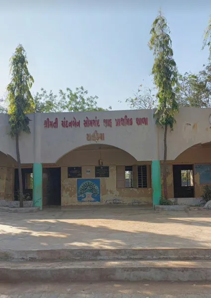 સિંચાઈની સુવિધા ન હોવાથી ખેતી વરસાદ, કુવા અને બોર ઉપર નિર્ભર