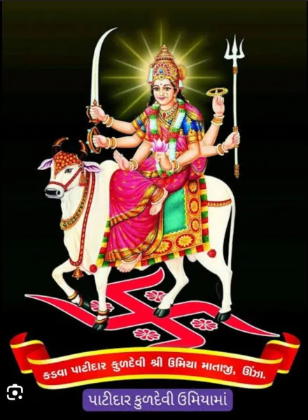 મોરબી ઉમિયા માનવ સેવા ટ્રસ્ટ દ્વારા વિનામૂલ્યે વાપરવા અપાતા મેડિકલ સાધનો માટેનું સ્થળ બદલાયું