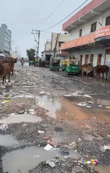 મોરબીના મકરાણીવાસમાં 6 જેટલા મકાનો જમીનદોસ્ત
