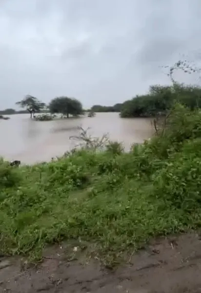મોરબીના સોખડા ગામના ખેડૂતોનો બળાપો : મોલ બધા જ બગડી ગયા
