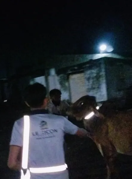 હળવદના રાતાભેર ગામનો જીવદયા પ્રેમ
