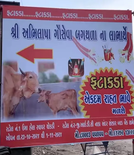 મોરબીના બગથળા ગામની ગૌશાળા માટે રાહત દરે વિશાળ ફટાકડા સ્ટોલ નખાયો
