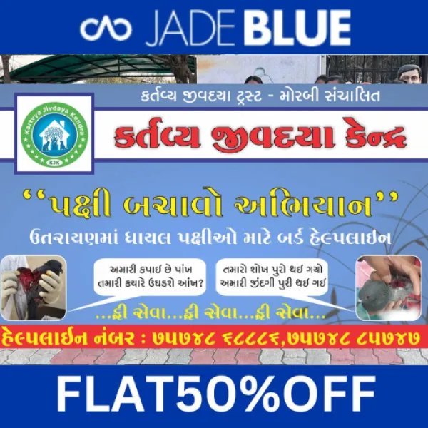 ઉત્તરાયણમાં ઘાયલ પક્ષીઓ ની વિનામૂલ્યે સારવાર માટે કર્તવ્ય જીવદયા કેન્દ્ર ખડેપગે રહેશે