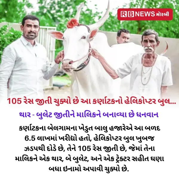 105 રેસ જીતી ચુક્યો છે આ કર્ણાટકનો હેલિકોપ્ટર બુલ...

થાર - બુલેટ જીતીને માલિકને બનાવ્યા છે ધનવાન 
