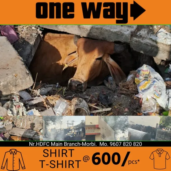 લખધીરવાસ ગેટ પાસે ભૂગર્ભ ગટરમાં વારંવાર પડી જતા ગૌવંશ, યોગ્ય કાર્યવાહીની માંગ