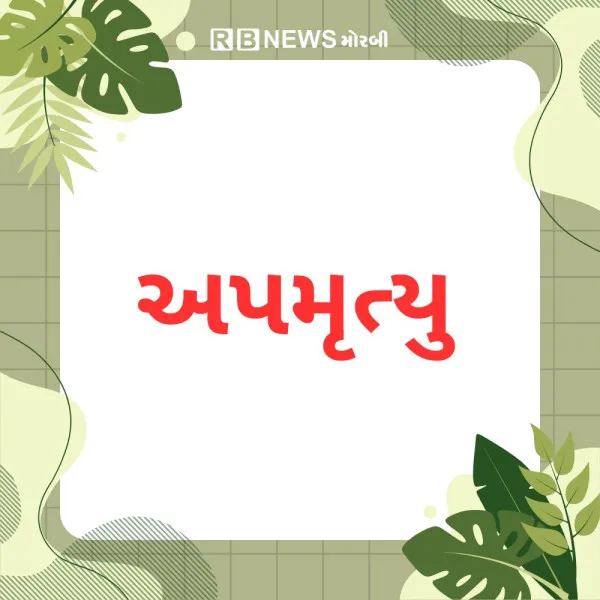 મોરબીના બરવાળા ગામે હલરમાં આવી જતા ખેત શ્રમિકનું મોત

