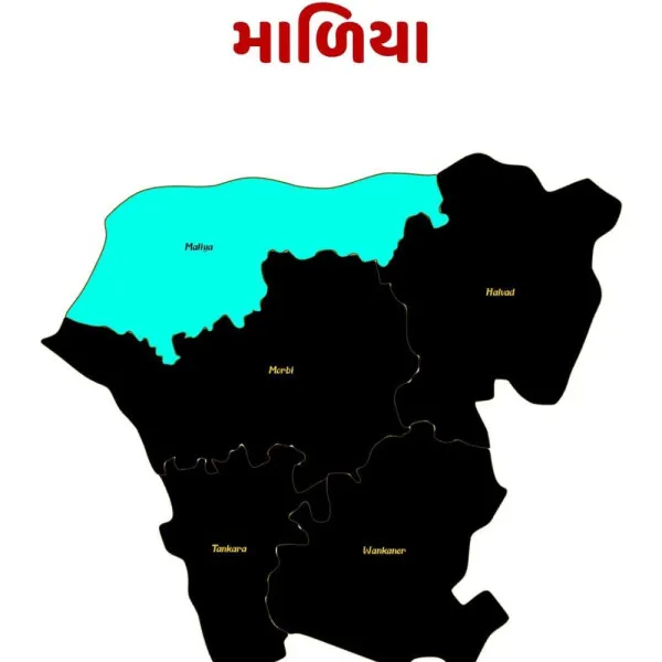 માળિયા (મી.)તાલુકામાં ખેડૂતોને અતિવૃષ્ટિની સહાય ચુકવવામાં અન્યાય
