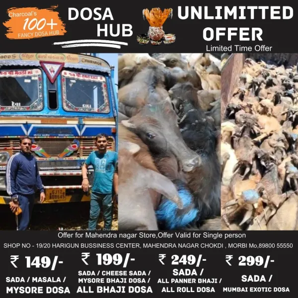 જોડિયા પાસે કતલખાને ધકેલાતા 50 પશુઓને બચાવતા મોરબીના ગૌસેવકો
