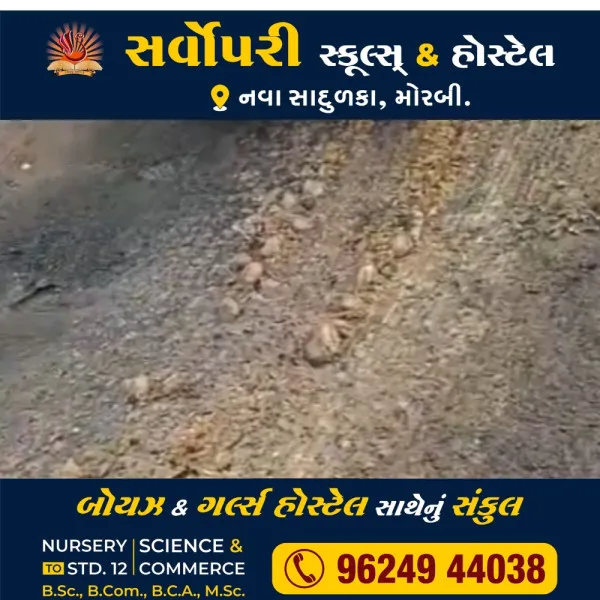 મોરબીના શનાળા નજીક હાઇવે ઉપર બટેટા ઢોળાયા