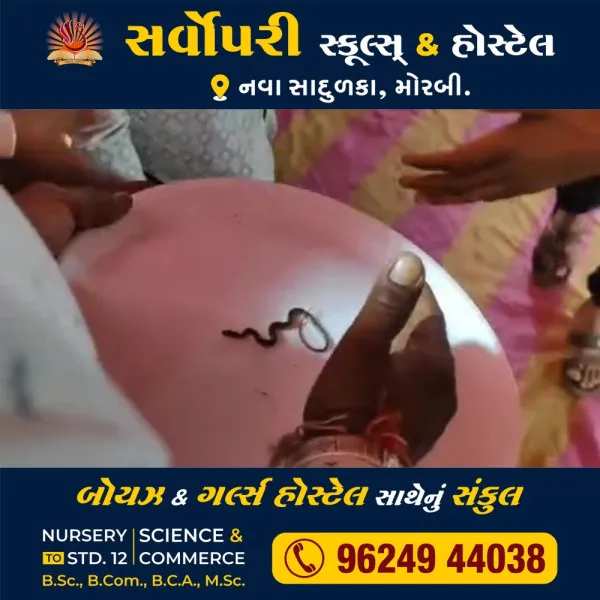 માળીયાના જુના ઘાટીલામાં ધાર્મિક કાર્યક્રમમાં ભરવાડ સમાજના ગાંગાંદાદાએ નાગદેવતા સ્વરૂપે દર્શન દીધાની માન્યતા
