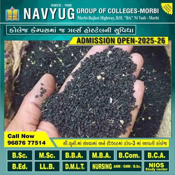 મોરબી જિલ્લાના ખેડૂતો માટે બિયારણની ખરીદી કરવા માર્ગદર્શિકા જાહેર 
