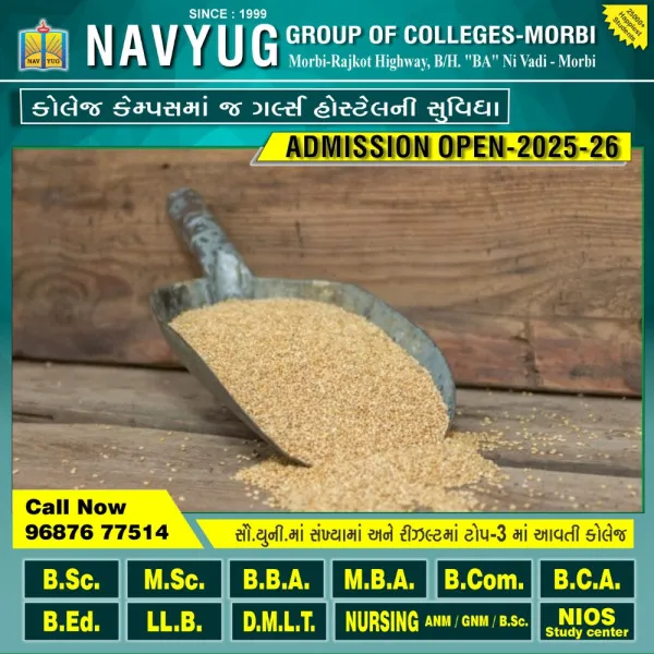 મોરબીના ખાનપરમા ઘરે ઘરેથી સરકારી અનાજ લઈ કાળાબજારી કરતો શખ્સ રૂ.1.86 લાખના અનાજ સાથે ઝડપાયો