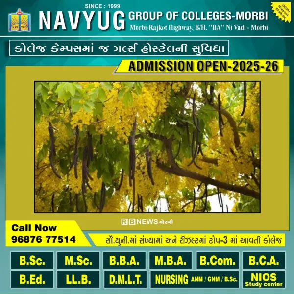 મોરબીમાં ગરમાળાની સીંગનું વિનામૂલ્યે વિતરણ કરાશે