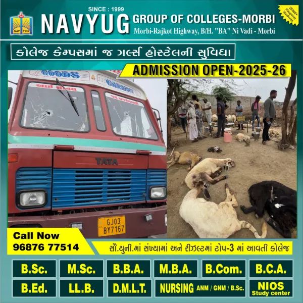 ટંકારા નજીક હાઇવે ઉપર ટ્રક હેઠળ કચદાતા 20 જેટલા ઘેટા-બકરાના મોત
