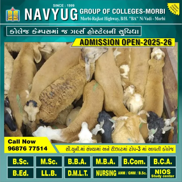 મોરબીમાં બોલેરોમાં ક્રૂરતાપૂર્વક બાંધીને કતલખાને ધકેલાતા 45 ઘેટાં બકરાને બચાવ્યા