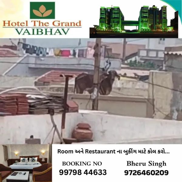 મોરબીના લાલપર ગામે છત પર ચડેલી ગાયને લોકોએ મહામહેનતે નીચે ઉતારી

