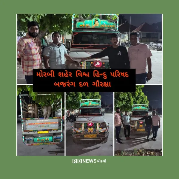 મોરબીની નજીક ગૌરક્ષકોએ બોલેરોમા ક્રૂરતા પૂર્વક બાંધીને લઈ જવાતા પશુઓને બચાવ્યા 