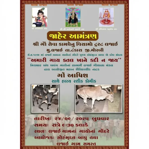 ગૌસેવા માટે અનોખો સંકલ્પ: લજાઈમાં 'કામધેનુ વિસામો ટ્રસ્ટ' દ્વારા ભવ્ય નાટક યોજાશે.
