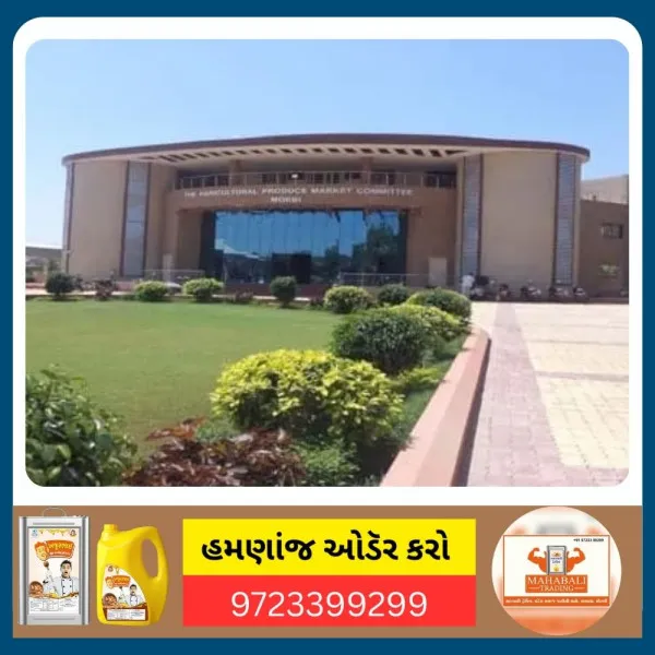 મોરબી માર્કેટિંગ યાર્ડમાં દિવાળીનું વેકેશન જાહેર
