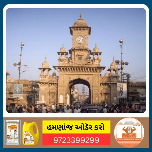 રવાપર-ઘુનડા રોડ પર બેકાબુ કાર પાણીમાં ખાબકી, સદનસીબે જાનહાની ટળી