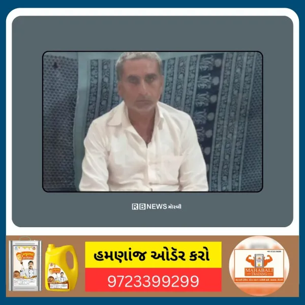 માળીયા મી.ના સરવડ ગામે ફળિયામાં ગાંજાનું વાવેતર કરનાર આધેડ ઝડપાયો