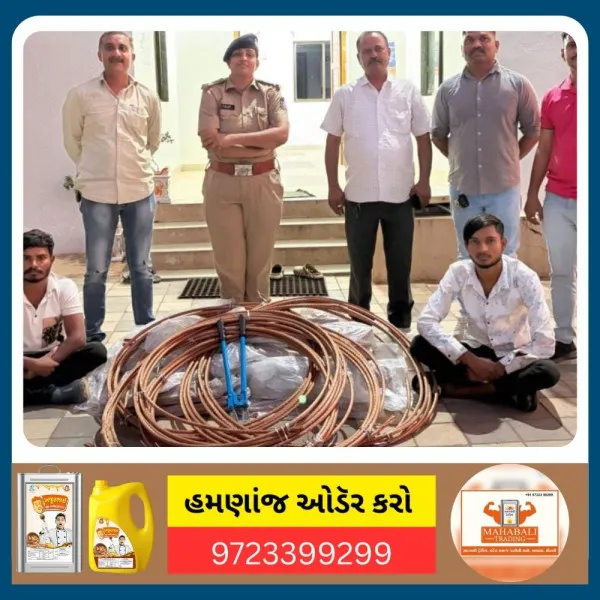 હળવદના કવાડિયા ગામે સોલાર પ્લાન્ટમાંથી કોપર વાયરની ચોરી કરનાર બે ઝડપાયા