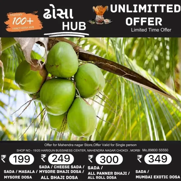 નાળિયેર હેઠળના વિસ્તારનું વિસ્તરણ યોજના અંતર્ગત પ્રતિ હેક્ટરે 56 હજારની સહાય મળશે
