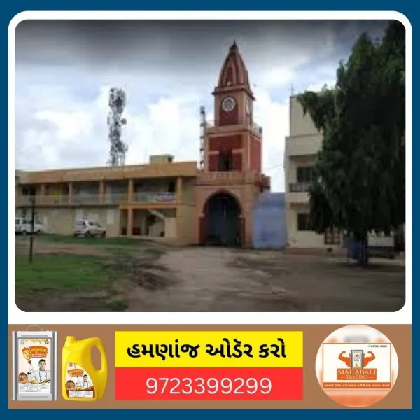 ધૃણાસ્પદ ઘટના : ટંકારાના 2 વર્ષના માસૂમ પર 38 વર્ષના નરાધમનું સૃષ્ટિ વિરુદ્ધનું કૃત્ય