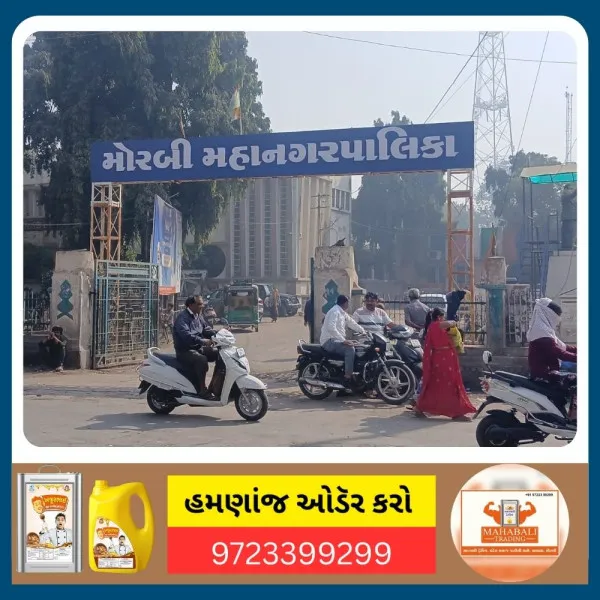 મોરબી મનપાએ મચ્છરજન્ય રોગ અટકાવવાની કામગીરી કર્યાનો દાવો