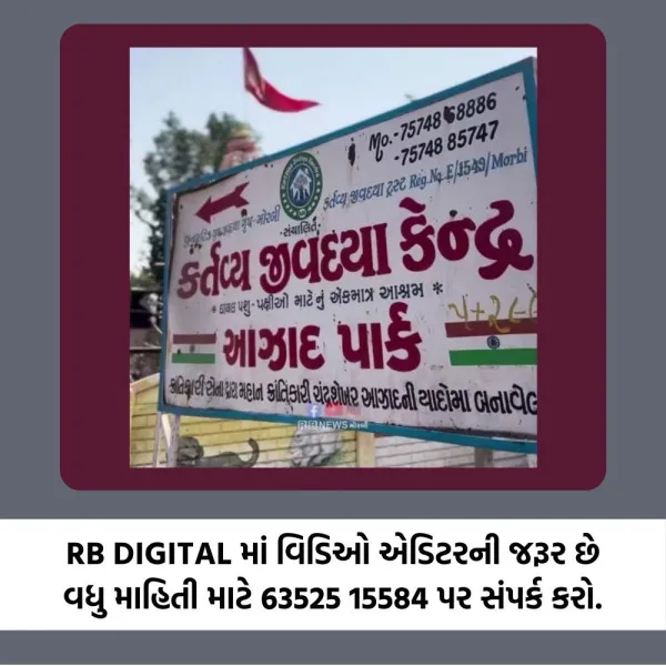મોરબીમાં કર્તવ્ય જીવદયા કેન્દ્રની ટીમ ઘાયલ પક્ષીઓની સારવાર માટે 9 સ્થળે રહેશે ખડેપગે
