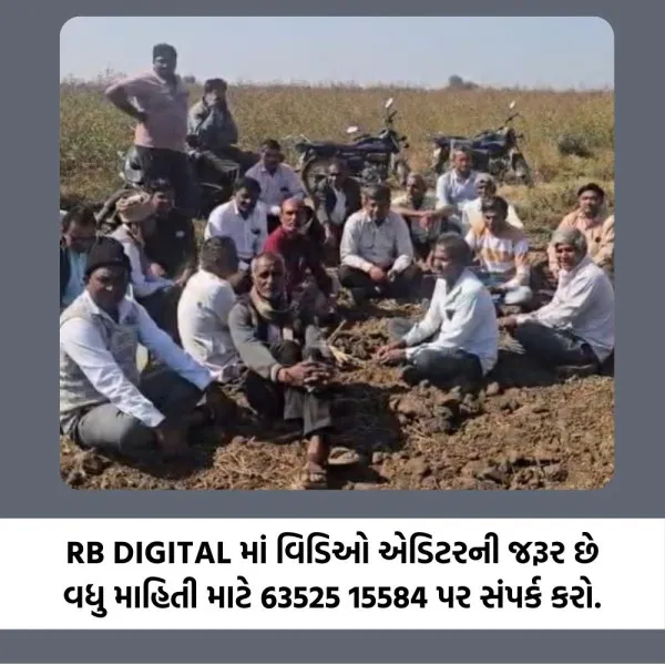 માળિયાના રાસંગપરમાં સમંતી વગર કંપનીના માણસોએ વિજલાઈન નાખી ગેરવર્તન કરતા ખેડૂતો ખફા, ચક્કાજામ
