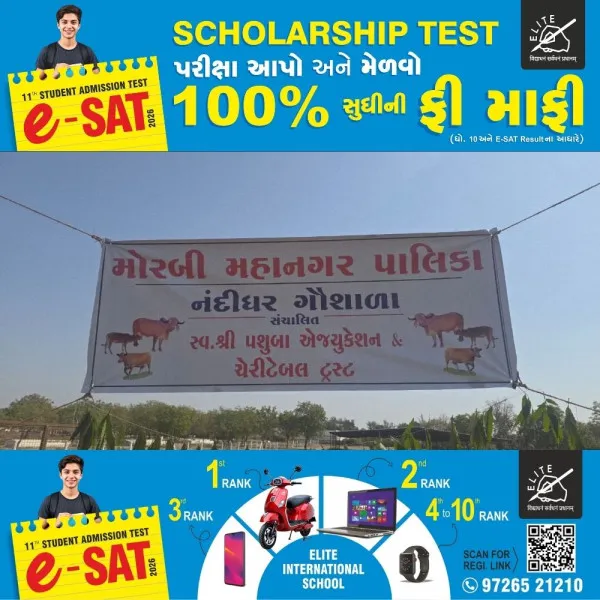 મોરબીમાં રખડતા ભટકતા ગૌવંશને સાચવવા ફરીથી નંદીઘર શરૂ