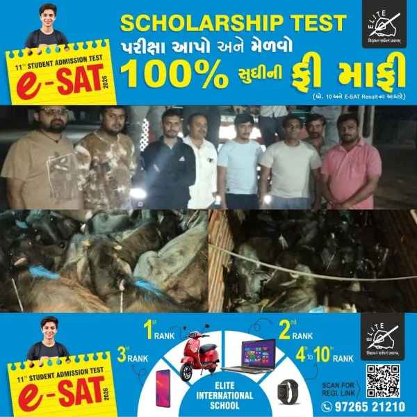 હળવદ નજીકથી કતલખાને ધકેલાતા 35 પશુઓને બચાવાયા, એક ઝડપાયો