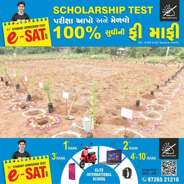 મોરબીમાં પ્રદુષણનો ખતરો ટાળવા મોટી સંખ્યામાં મિયાવાકી પધ્ધતિથી વવાશે વૃક્ષો 
