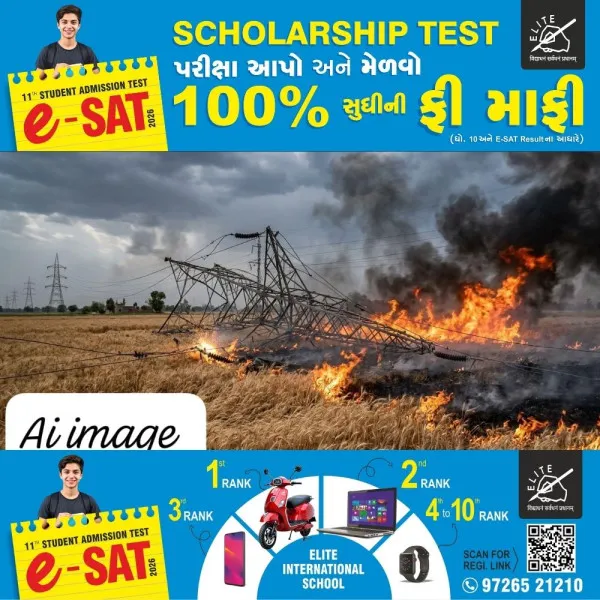 માળિયા (મી.)માં ભારે પવનથી હેવી વીજ લાઇનનો થાંભલો ત્રાટકતા ખેતરમાં આગ ભભૂકી
