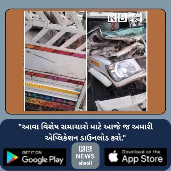 મોરબીમાં બળદ ભરેલી બોલેરો આઇસર સાથે અથડાઈ, બોલેરોના ચાલકન...