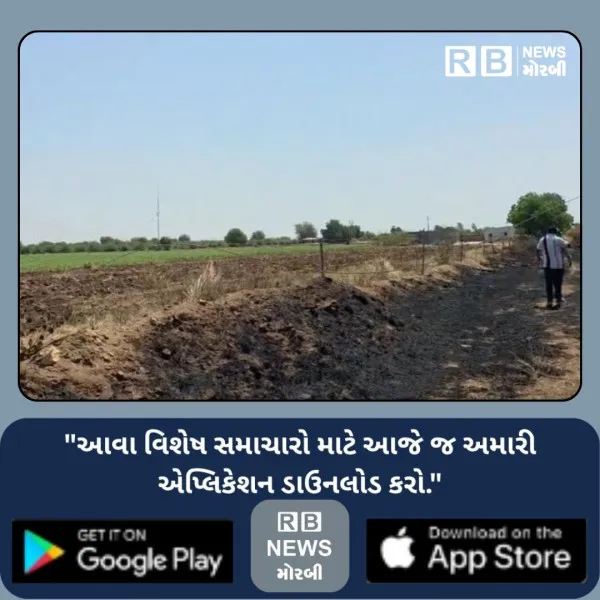 હળવદના માથક ગામે ખેતરમાં આગની દુર્ઘટનામાં 3000 જેટલા દાડમ...