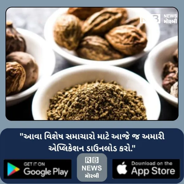 મોરબીના માર્કેટિંગ યાર્ડ બહાર કાલે ઓર્ગેનિક અને આયુર્વેદિક વસ્તુઓનું વેચાણ

