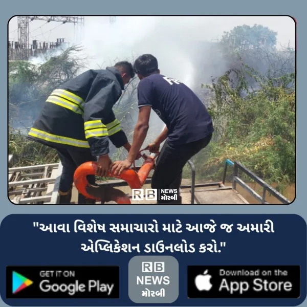 મોરબીના વિશપરા રોડ અને નેક્ષેસ સિનેમા સામે આગ : સદનસીબે જાનહાનિ ટળી
